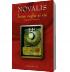 Intre veghe si vis. Fragmente romantice - Novalis
