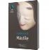 Mastile - Fumiko Enchi