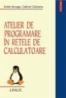 Atelier de programare in retele de calculatoare - Gabriel Ciobanu, Sabin Buraga