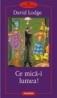 Ce mica-i lumea! - David Lodge