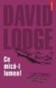 Ce mica-i lumea! - David Lodge