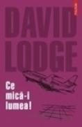 Ce mica-i lumea! - David Lodge