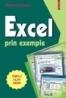 Excel prin exemple - Silvia Curteanu