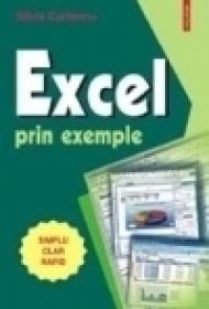 Excel prin exemple - Silvia Curteanu