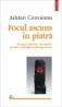 Focul ascuns in piatra. Despre istorie, memorie si alte vanitati contemporane - Adrian Cioroianu
