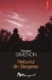 Nebunul din Bergerac - Georges Simenon