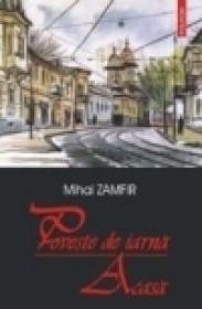 Poveste de iarna ? Acasa - Mihai Zamfir