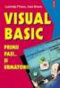 Visual Basic. Primii pasi... si urmatorii - Luminita Finaru, Ioan Brava
