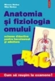 Anatomia si fiziologia omului. Scheme didactice - Nita Nedea, Mircea Nedea