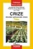 Crize. Abordare psihosociala clinica - Jacqueline Barus-Michel, Florence Giust-Desprairies