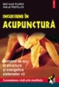 Incursiune in acupunctura. Numarul de aur in structura si energetica sistemelor vii - Dan Vlad Filimon, Vasile Postolica