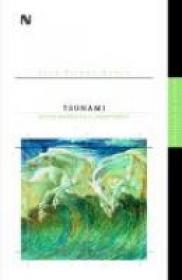 Tsunami. Scurta Metafizica A Catastrofelor - Jean-Pierre Dupuy