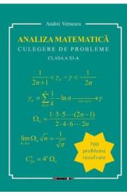 Analiza matematica. Culegere de probleme - Clasa 11 - Andrei Vernescu