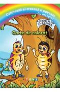 Coloreaza si creeaza o poveste cu insecte! Carte de colorat - -