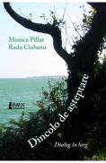 Dincolo de asteptare. Dialog in larg - Monica Pillat, Radu Ciobanu - Radu Ciobanu