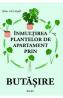 Inmultirea plantelor de apartament prin butasire - Celine, I Do It Myself - Celine I. Do It Myself
