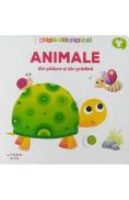 Misc si descopar: Animale din padure si din gradina - -