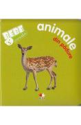 Bebe invata - Animale din padure - -