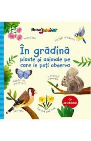 In gradina. Plante si animale pe care le poti observa - Kate Nolan