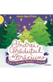 Andrei, bradutul de Craciun - Mirela Banica Preda