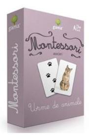 Montessori. Asocieri: Urme de animale - -