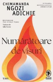 Numaratoare de visuri - Chimamanda Ngozi Adichie