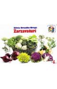 Zarzavaturi - Silvia Ursache-Brega - Silvia Ursache